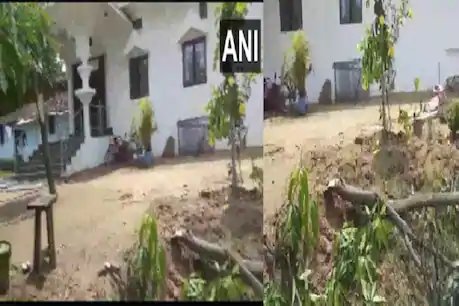 BJP सांसद के घर पर हाथी का हमला, जमकर मचाया तांडव, अब दिख रही है सिर्फ तबाही