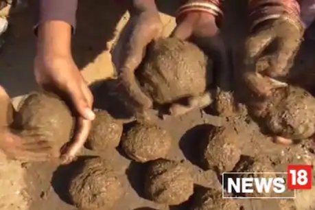 कैबिनेट ने लगाई मुहर, अब इस राज्य में 2 रुपए किलो बिकेगा गोबर, पढ़ें पूरी खबर