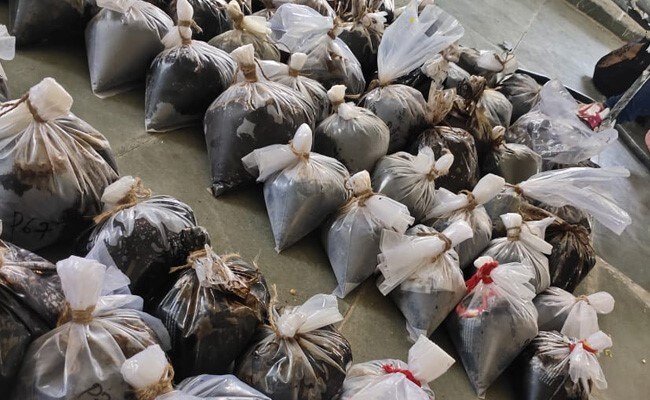 राजस्थान में एनसीबी ने पकड़ी इस साल की अफीम की सबसे बड़ी खेप