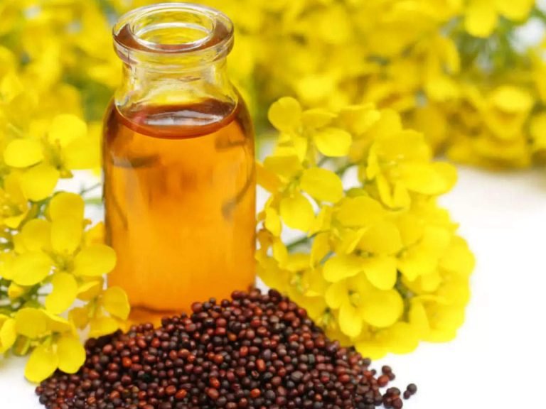 useful oils in corona virus prevention: Corona Prevention By Mustard Oil: गुणों की खान है देसी तेल, कोरोना संक्रमण से बचाव में सहायक – use of mustard oil to prevent corona virus infection and to boost immunity in hindi
