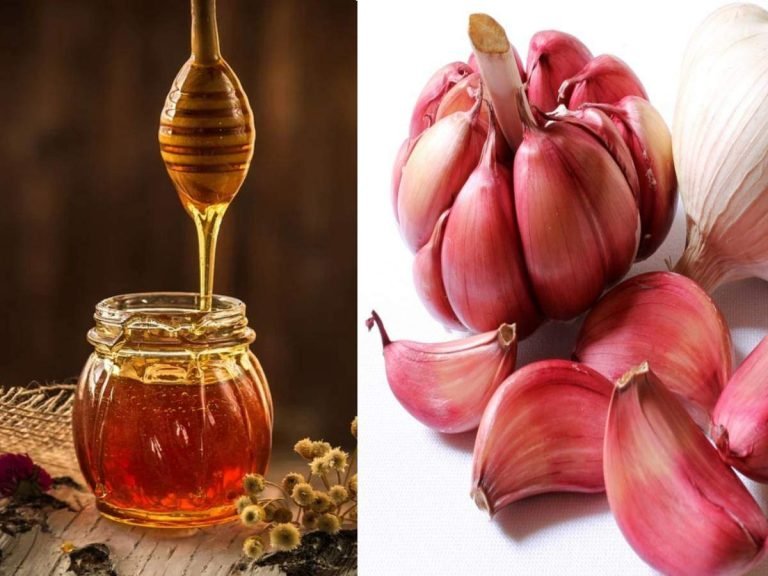 garlic and honey benefits: Garlic And Honey For Men : पुरुषों के लिए लहसुन और शहद के हैं कमाल के फायदे – top proven health benefits of garlic and honey for men