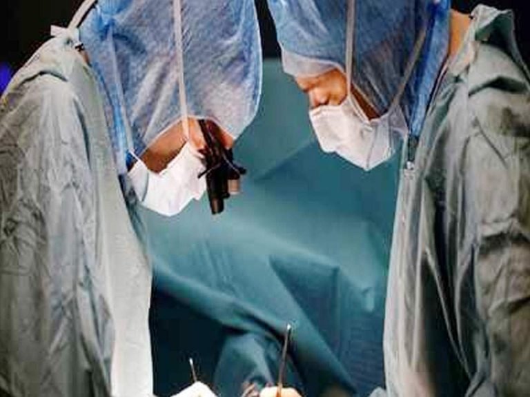 organ transplantation timing: Organ Transplantation Queries: जानें, मरने के बाद कितनी देर तक जीवित रहता है शरीर का कौन-सा अंग – queries​ about organ donation and organ transplant in hindi