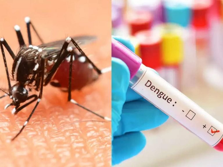 easiest tips for dengue fever prevention: Dengue Fever Best Home Remedy: डेंगू ने लगाई जबरदस्त छलांग, यहां जानिए इससे बचने का रामबाण तरीका – giloy is the best remedy to treat dengue fever and in prevention of dengue fever in hindi