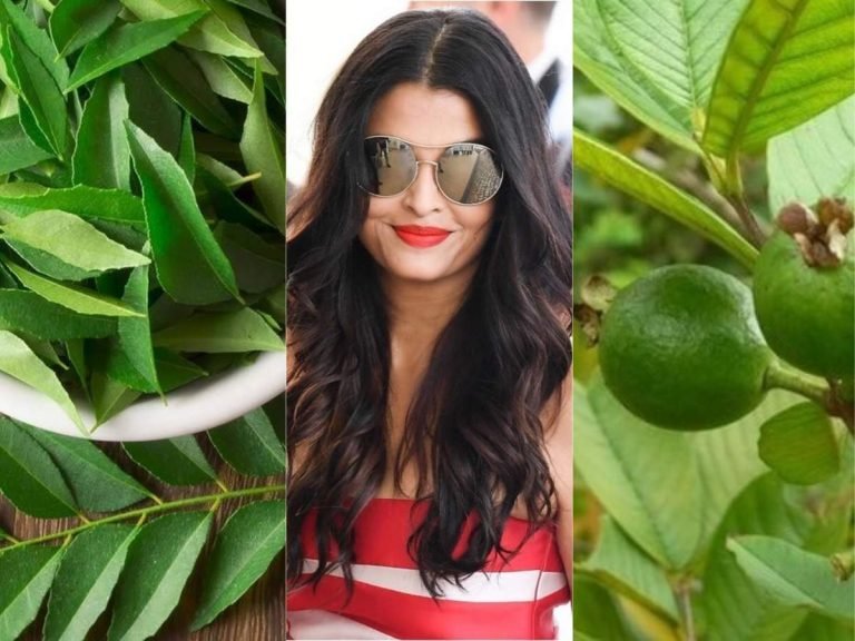 how to get rid of wrinkles: इन पत्‍तियों में छिपा है Anti-aging का फार्मूला, ऐसे लगाएं तो जल्‍द दिखेगा असर – use guava pomegranate and curry leaves to get rid of wrinkles in hindi