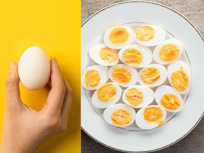 egg-diet egg-diet
