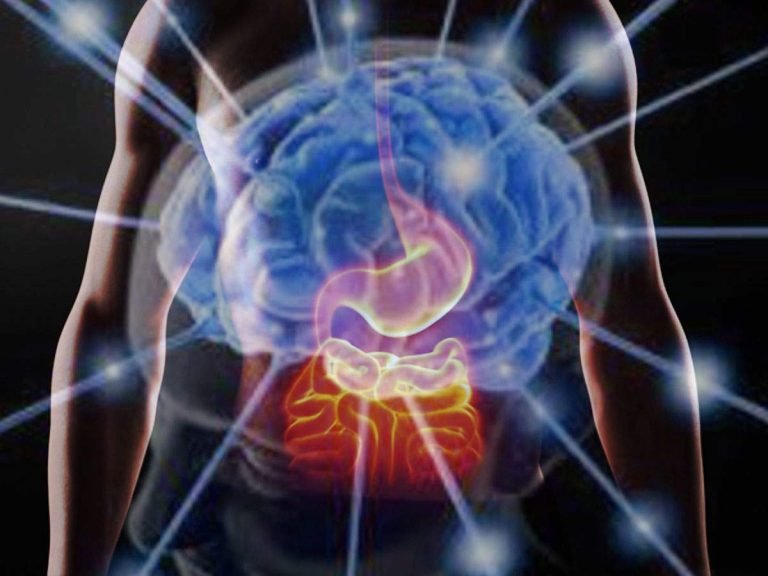 how to keep brain healthy: Sharp Brain: तेज दिमाग का रास्ता स्वस्थ पेट से होकर जाता है, जानें क्या है पूरा कनेक्शन – how to keep brain healthy and tips to get sharp learning skills in hindi