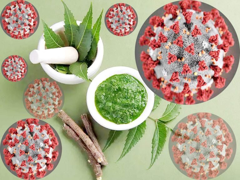 neem effect on corona virus: Neem Treat Covid-19: नीम मारेगा कोरोना संक्रमण, जांच में जुटी भारतीय डॉक्टर्स की टीम – how effective neem in corona virus infection and covid 19 aiia doing research in hindi