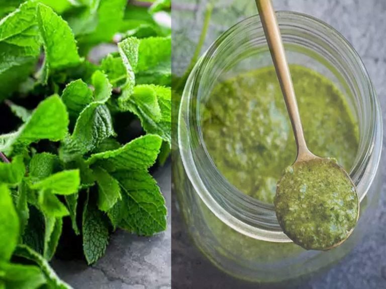mint chutney: pudina chutney Benefits: पुदीने की चटनी याददाश्त बढ़ाने के साथ ही पहुंचाती है ये 10 फायदे – health benefits of mint and pudina chutney in hindi