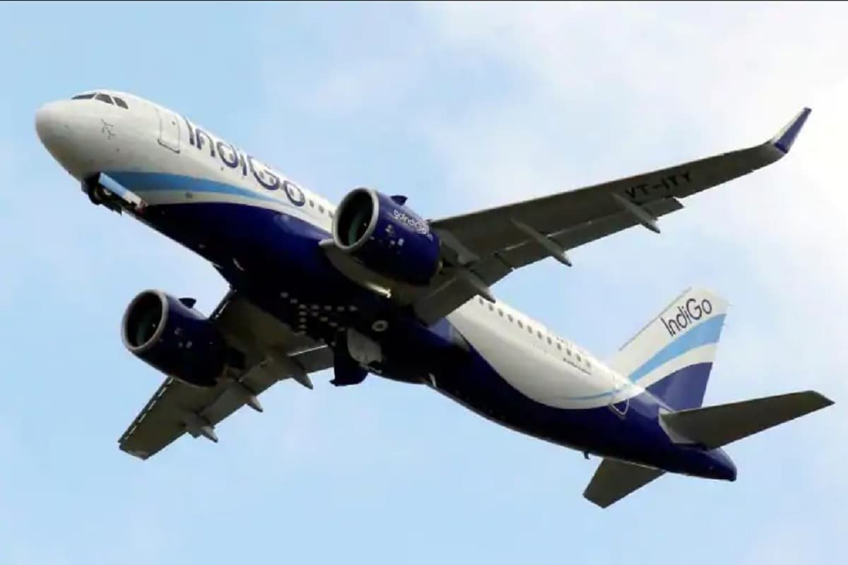 1598335508_INDIGO.jpg