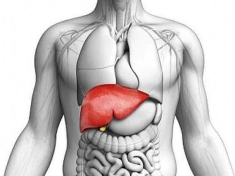 what is liver cirrhosis: Liver Cirrhosis: दर्दनाक होती है लिवर सिरॉसिस की स्थिति, जानें कारण और निवारण – reasons symptoms and treatment of liver cirrhosis in hindi