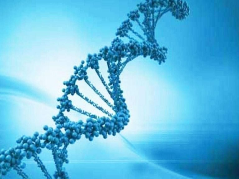 men getting more affected by corona infection: अपने ‘X’ क्रोमोसोम के कारण कोरोना पर भारी पड़ रही है महिलाओं की इम्युनिटी – female chromosome boost immunity biggest reason males are getting more affected by corona virus in hindi