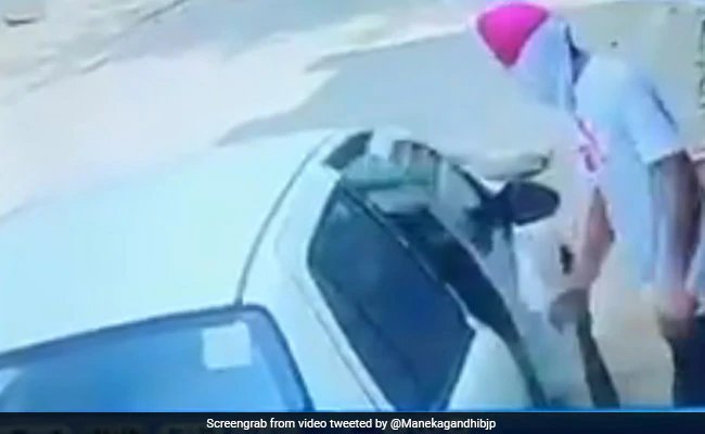 Police arrest Breeder who drive car on dog, 12 dogs recovered – कुत्ते पर कार चढ़ाने वाले व्यक्ति को पुलिस ने किया गिरफ्तार, 12 कुत्तों को किया गया बरामद
