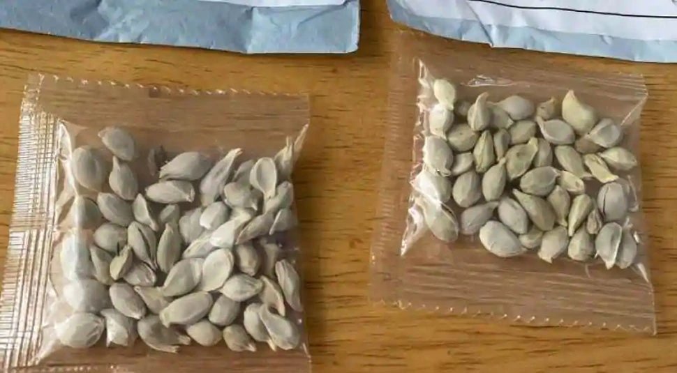 चीन से अमेरिका पहुंचे रहस्यमयी पैकेट, USDA की जांच में सामने आई सच्चाई