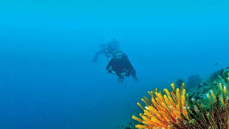 Father’s neck bone broken during diving, nine-year-old son saved his life | Diving के दौरान पिता की टूटी गर्दन, नौ साल के बेटे ने ऐसे बचाई जान