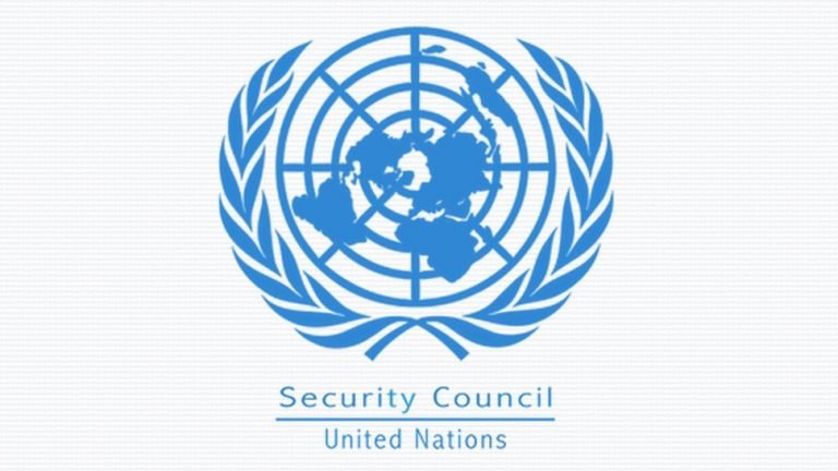 India slams Pak over Dawood and cross border terrorism at UNSC | UNSC में भारत ने पाकिस्तान को घेरा, कहा-दाऊद जैसे आतंकियों को पालता है पड़ोसी मुल्क