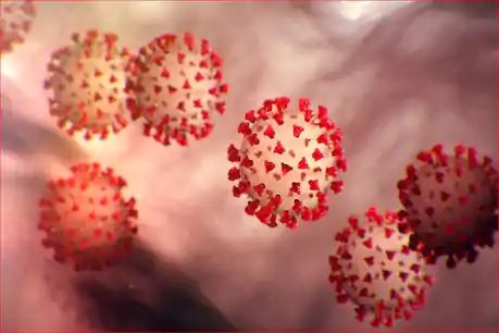 Covid-19 Update: छत्तीसगढ़ में 451 नए कोरोना मरीज, 13 लोगों की मौत, अब संक्रमितों की संख्या 14 हजार के पार