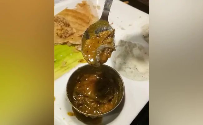 दिल्ली के कनॉट प्लेस के एक मशहूर रेस्टोरेंट में खाने में मिली मरी छिपकली, पुलिस ने केस दर्ज किया