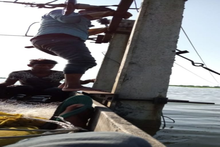 रायपुर: बाढ़ में नाव से लाइन सुधारने पहुंचे बिजली कर्मी, अधिकारी भी बोले- क्या बात है! | raipur – News in Hindi