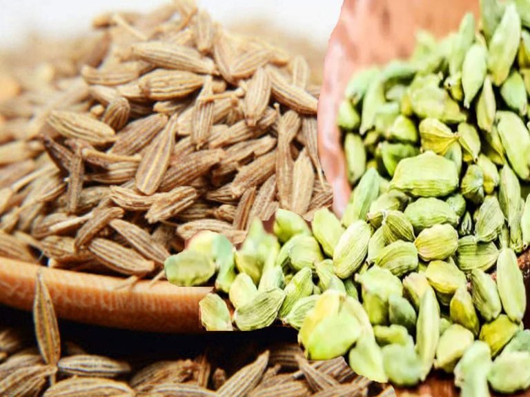 cumin seeds and green cardamom tea: चाय में भी स्वाद का तड़का लगा सकता है जीरा, ऐसे बनाएं इलायची संग ऊष्ण पेय – how to make cumin seeds and green cardamom tea and its health benefits in hindi