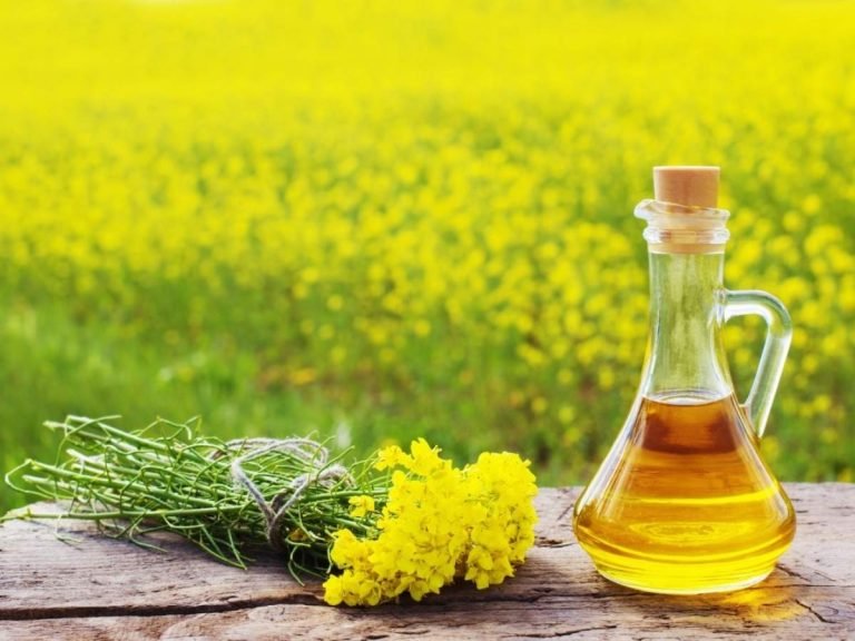 Beauty & Skin News : चमकदार त्‍वचा और काले बालों के लिए क्रीम और शैंपू नहीं, बल्‍कि इस तरह लगाएं सरसों का तेल – beauty benefits of mustard oil for skin and hair