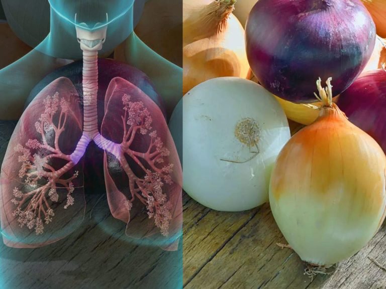 health benefits of raw onion: Raw Onion Eating Benefits: कच्चा प्याज खाने के 5 खास फायदे, हर मौसम सलाद दे लाभ – why should eat raw onion with daily meal in hindi