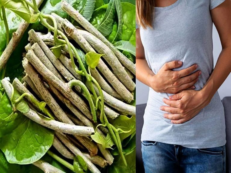 health benefits of giloy: Benefits Of Giloy : इम्युनिटी के लिए ही नहीं, सेहत के लिए अन्य फायदे भी पहुंचाता है गिलोय का सेवन – know the health benefits of giloy to boost your immunity and to cure many other disease