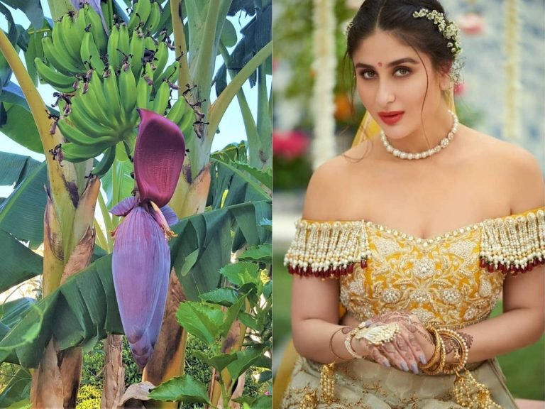 banana flower to treat acne: Skin-Hair Care: बड़े काम का है केले का फूल, इस तरह बना सकता है सुंदर – banana flower use to treat signs of ageing acne hair growth