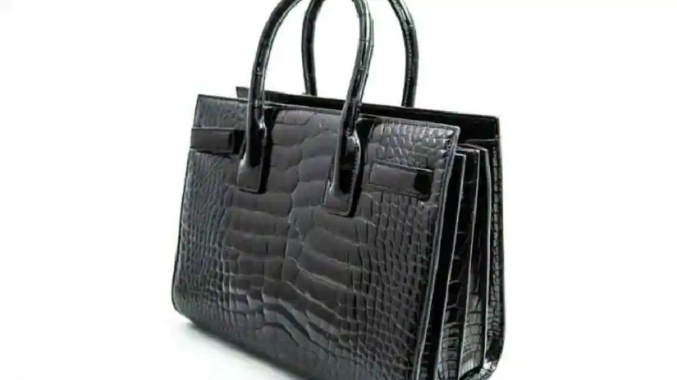A woman had to destroy 13 Lakh rupees imported luxury handbag, the minister said – do fashion consciously | 13 लाख का था लग्‍जरी हैंडबैग, इस वजह से करना पड़ा नष्‍ट