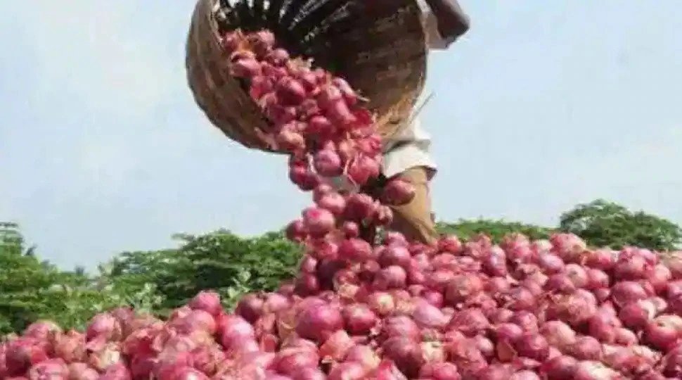 INDIA ALLOWS 25K TONNES OF ONIONS TO BANGLADESH | भारत ने फिर निभाया पड़ोसी धर्म, मुश्किल में फंसे इस ‘देश’ को भेजी 25 हजार टन प्याज