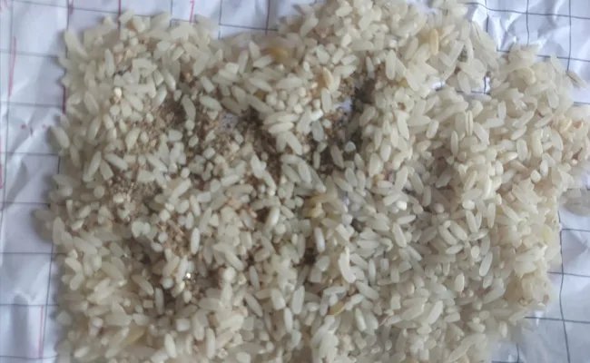Center told Madhya Pradesh – Rice distributed in lockdown is not fit for humans, feed animals – Exclusive: केंद्र ने मध्यप्रदेश से कहा- लॉकडाउन में बंटा चावल इंसान के लायक नहीं, जानवरों को खिलाएं