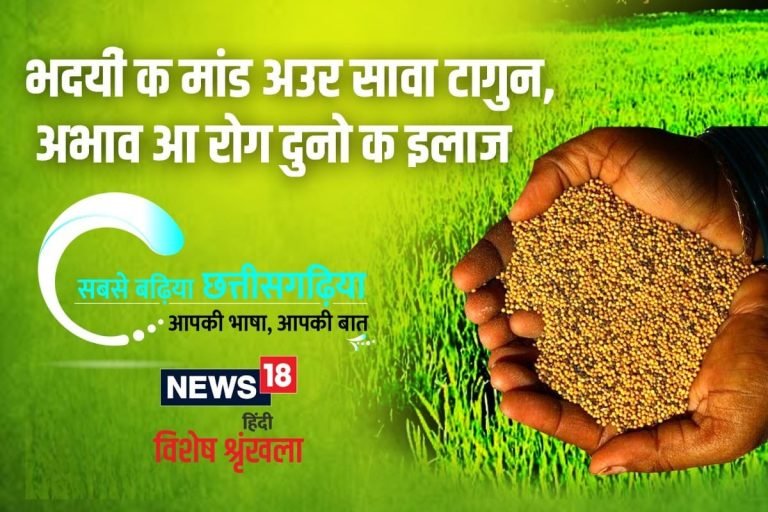 छत्‍तीसगढ़ी विशेष: भादयीं क मांड अउर सावा टागुन, अभाव आ रोग दुनो क इलाज | kawardha – News in Hindi