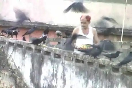 इंसान और परिंदों की अनोखी दोस्ती, 20 साल से कौवों को दाना चुगा रहा यह पक्षी प्रेमी