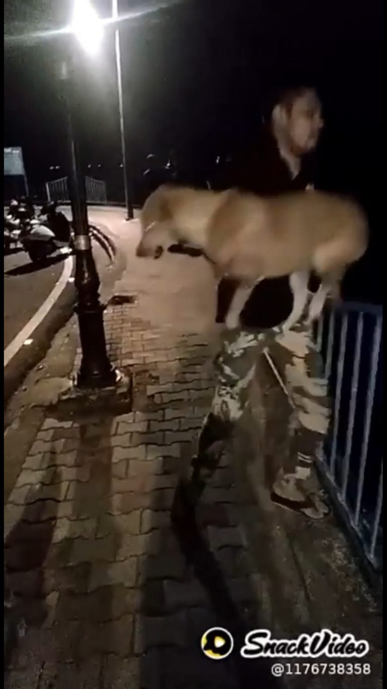 पशु क्रूरता: सलमान ने कुत्ते को तालाब में फेंका,  मामला दर्ज