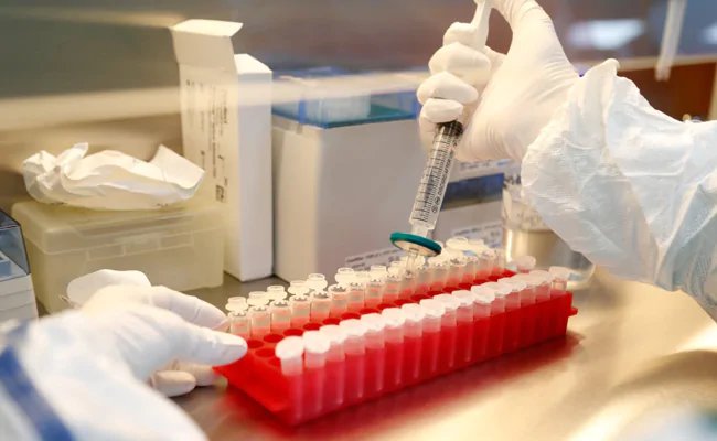 बंदरों पर परीक्षण के बाद बोले Covaxin वैक्सीन के निर्माता - इम्यून की प्रतिक्रियाएं मजबूत दिखीं...