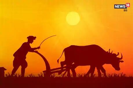'किसान सम्मान निधि बंद करने की तैयारी में है केन्द्र सरकार, छत्तीसगढ़ के 25 लाख किसानों को नहीं मिले पैसे'