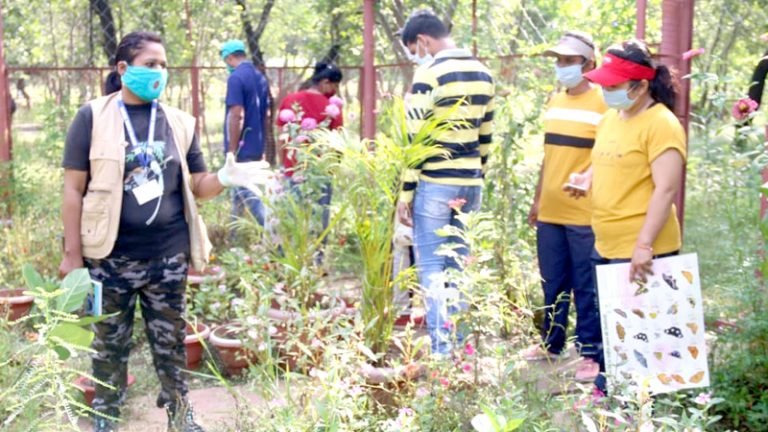 तितलियों की विविध प्रजातियों को देख रोमांचित हुए प्रतिभागी