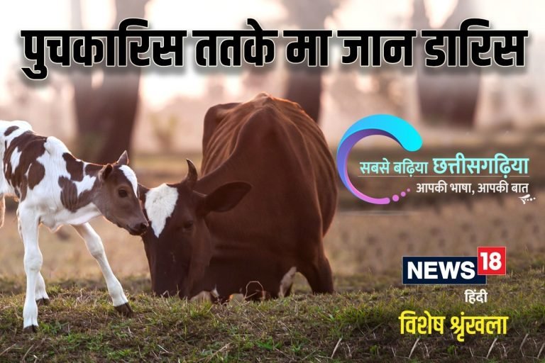 छत्‍तीसगढ़ी में पढ़ें : पुचकारिस ततके मा जान डारिस | kawardha – News in Hindi
