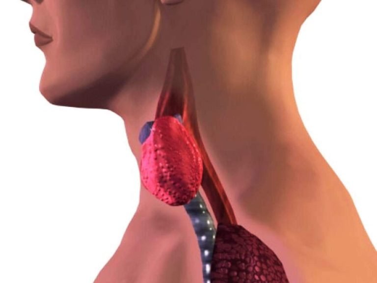 what to eat in thyroid: Food For Thyroid Patients: थायरॉइड के मरीजों को खाना चाहिए ऐसा भोजन, प्राकृतिक रूप से नियंत्रित रहेगी बीमारी – best food for thyroid patients to control the disease