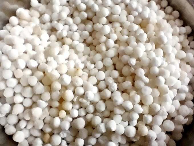 sabudana1