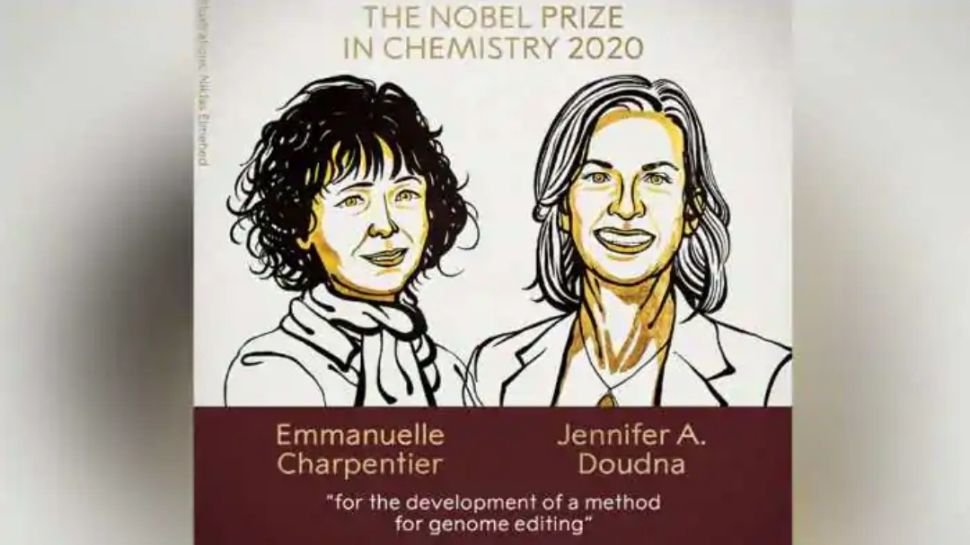 657819-nobel-prize-for-chemistry.jpg