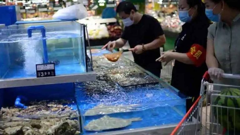 Alive coronavirus found on frozen food in China | चीन में फ्रोजन फूड पर मिला जिंदा कोरोना वायरस, स्वास्थ्य विभाग ने किया अलर्ट