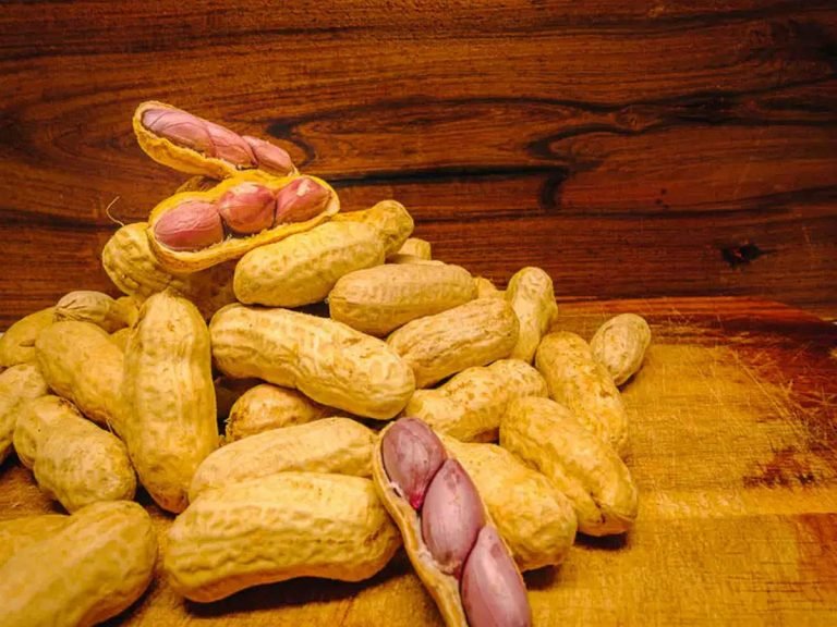 why should eat groundnut in winter: सर्दियों में अधिक खाई जाती हैं मूंगफली, इसकी हैं ये 5 खास वजह – why should eat groundnut specially in winter
