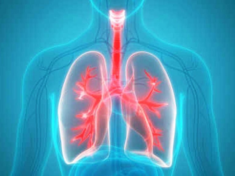 what to eat in chest congestion: फेफड़ों में जमा कफ को दूर करता है मीठे आलू का सेवन, अस्थमा में भी लाभकारी – sweet potato benefits in chest congestion during winters