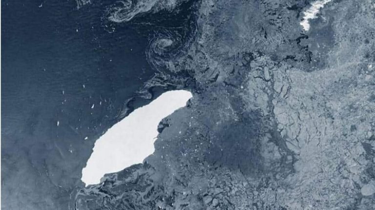 Iceberg A68a could destroy a fragile South Atlantic ecosystem