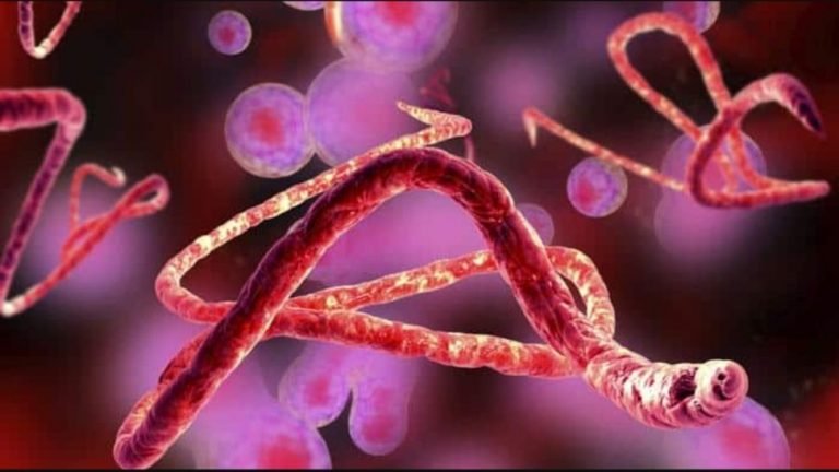 Mysterious virus based skin disease founds in African country senegal | इस African Country के मछुआरों में फैली रहस्यमयी बीमारी, सभी को किया गया क्वारंटीन