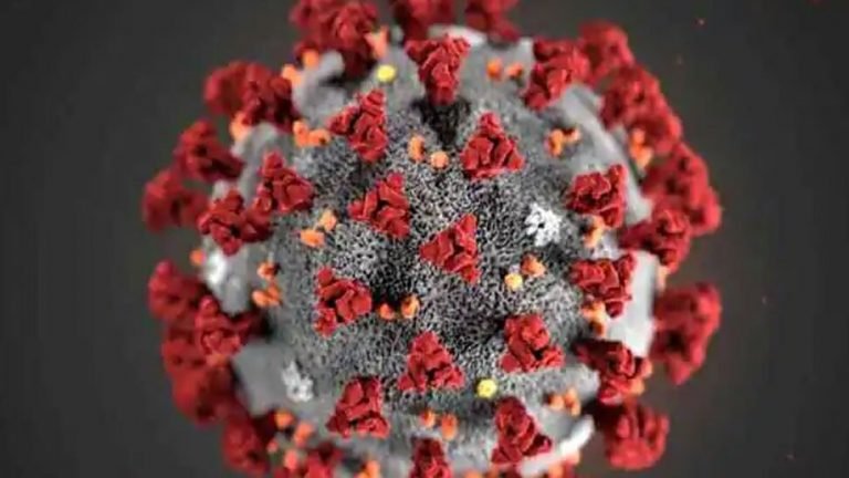 One of the most commonly used English words as on April is corona virus | 2020 में सबसे ज्यादा हुआ Coronavirus, Lockdown और WFH शब्दों का इस्तेमाल, जानिए ग्लोबल ट्रेंड
