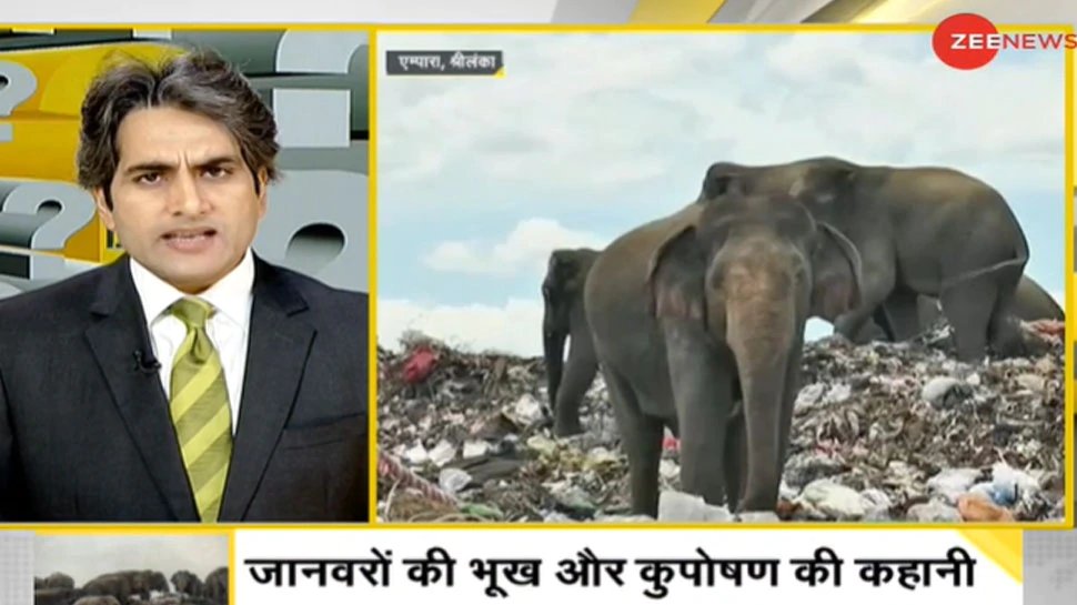 DNA ANALYSIS elephants die from eating scraps from landfill in srilanka | श्रीलंका में भूख से बेहाल क्यों हो रहे हाथी?