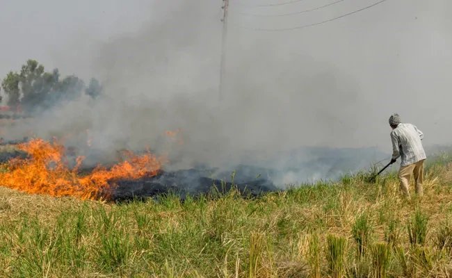 Will Prepare Policies To Control Stubble Burning, Curb Air Pollution In Delhi and NCR: Air Quality Panel – दिल्ली-एनसीआर में प्रदूषण पर काबू पाने के लिए नीतियां बनाएंगे: वायु गुणवत्ता आयोग