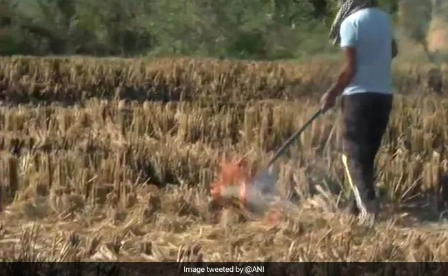 बिजली बनाकर खपाई जा सकती है 25 फीसदी पराली, प्रदूषण के खिलाफ जंग में मिलेगी मदद