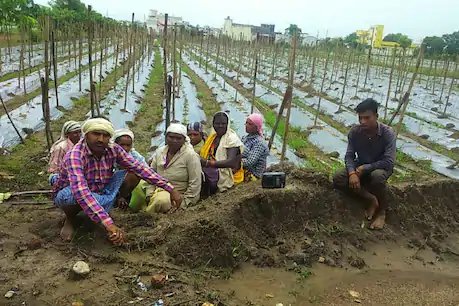काम करते वक्त भी लोकवाणी कार्यक्रम सुनना नहीं भूलते कामगार.